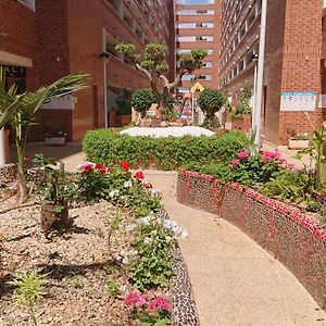 Apartamento de 2 Dormitorios